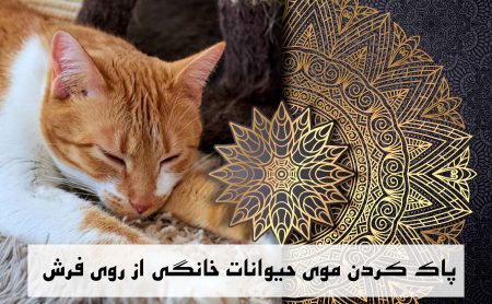 پاک کردن موی حیوانات خانگی از روی فرش